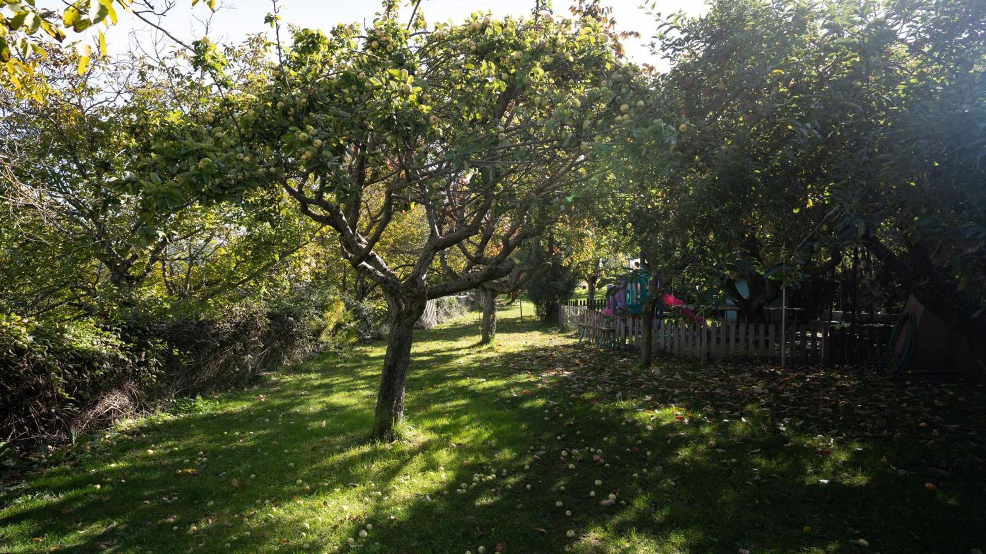 El Zarzal Guest House Horche Luaran gambar